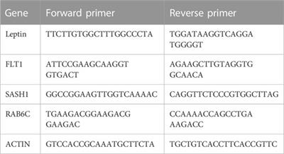 Machine learning and bioinformatics framework integration reveal potential characteristic genes related to immune cell infiltration in preeclampsia